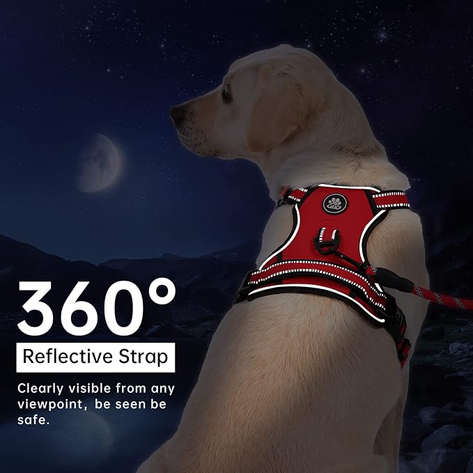 IVY&LANE No Pull Dog Harness for Medium Dogs, Dog Vest Harness with Leash, Safety Belt and Storage Strap, Fully Adjustable, 360° Reflective Strip, Soft Handle (Red, M)