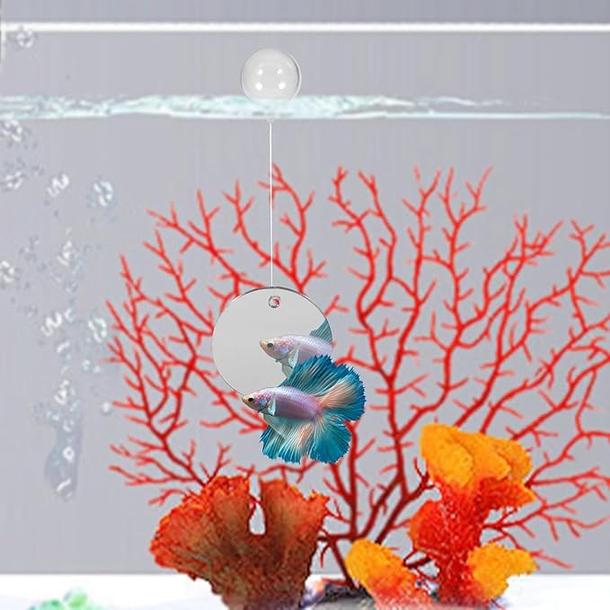 Beta Fish Aquariums Accessories, Betta Ring Enrichment Toys, 1 Fish Mirror with Floating Ball & 2 Exercise Training Ring Toys & 4 Nitrifying Balls for Fish Tank, Betta Tank, Betta Aquarium