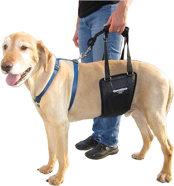 Dog Sling Hind Leg Support, M/LG Unisex with Cutout, Made in USA | Help Pets Walk, K9s Recover from Surgery, Fits Male & Female, Integrated Leash, Machine Wash/Dry, Chest Harness NOT Included