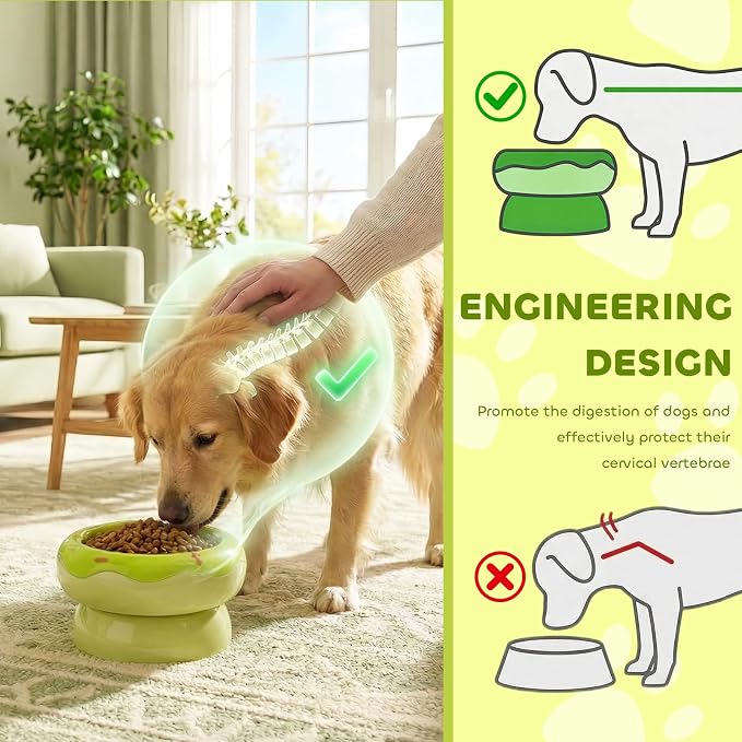 Donut Duo Ceramic Dog Bowl, Dog Water Bowl and Dog Food Bowl, Pet Bowls (Green)