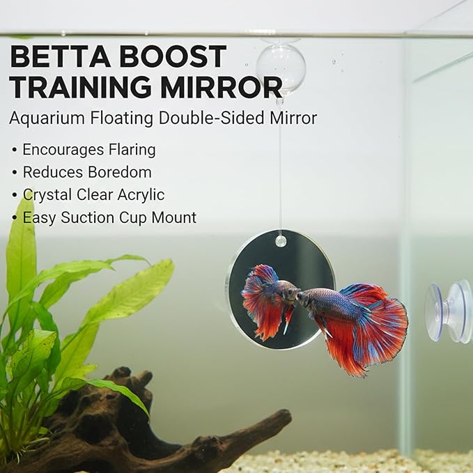 Betta Fish Tank Accessories, 3-Piece Set with 2 Training Rings and 1 Mirror with Floating Ball, Plastic Betta Fish Toys for Aquarium Enrichment