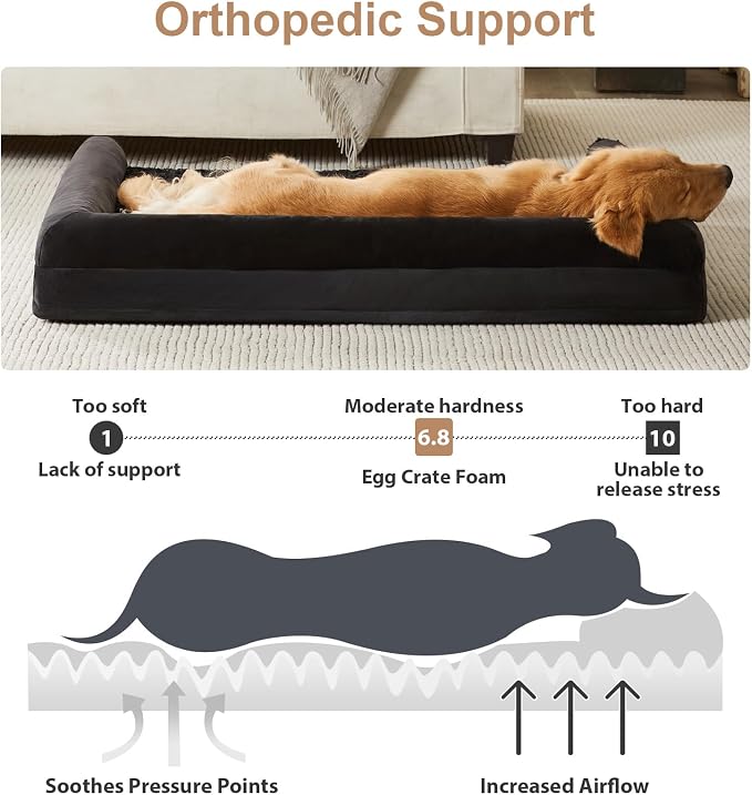 BFPETHOME Orthopedic Washable XXL Dog Bed for Senior Dog Cozy Sleep | Extra Large Waterproof Big Soft Pet Couch Bed for Dogs Relax with Removable Cover Supportive Egg Crate Foam Black 54x36 Inch