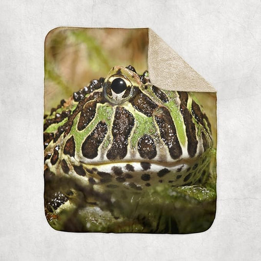 3dRose Pacman Frog, South American Horned Frog - NA02 AJE0359 - Adam Jones Sherpa Lined Blanket