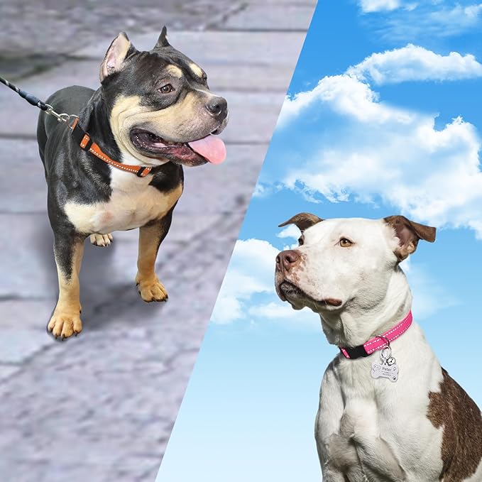 PaiPaitek Shock Collar Replacement Strap, 3/4 Inch, 2-Pack, Reflective Adjustable Dog Collar, Orange & Pink, 8-27 Inch Neck Size