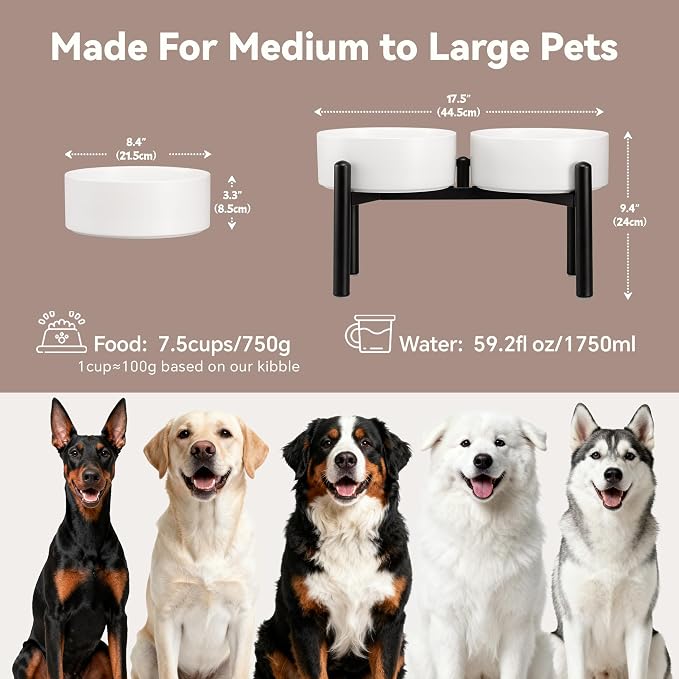 Raised Ceramic Dog Bowl Set with Stand, 7.5 Cups Elevated Dog Food Stand | 8.4'' Double Dog Food and Water Bowl Set, Non-Slip Dog Feeding Dishes for Small Breeds and Cats, 59.2 OZ, White