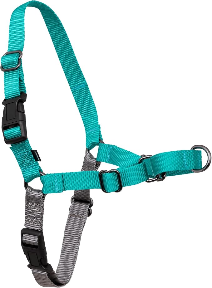 PetSafe Easy Walk Harness, No Pull Dog Harness, Teal, Medium | Patented Martingale Loop Gives Gradual Shoulder Pressure to Stop Pulling, Front-Chest Leash Clip Prevents Gagging
