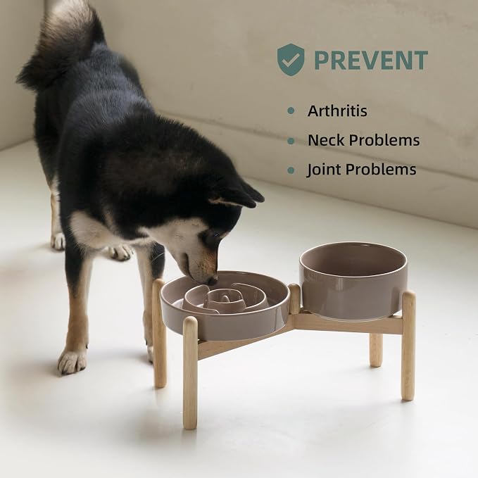 Havniva Elevated Slow Feeder Dog Bowls, Ceramic Dog Bowl Slow Feeder Set | 1.2 Cups Raised Slow Feeder Dog Bowl for Small Breed, 6.1” Dog Water Bowl with Wooden Stand, Puzzle Dog Food Bowl, Non-slip