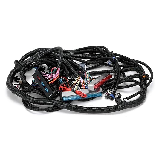 4L60E DBC LS Standalone Wiring Harness Compatible with GM LS1 1999-2006 Vortec Engines 4.8L 5.3L 6.0L Drive by Cable, with 8 Pack Fuel Injector Connector Adapter EV1 Transfer to EV6