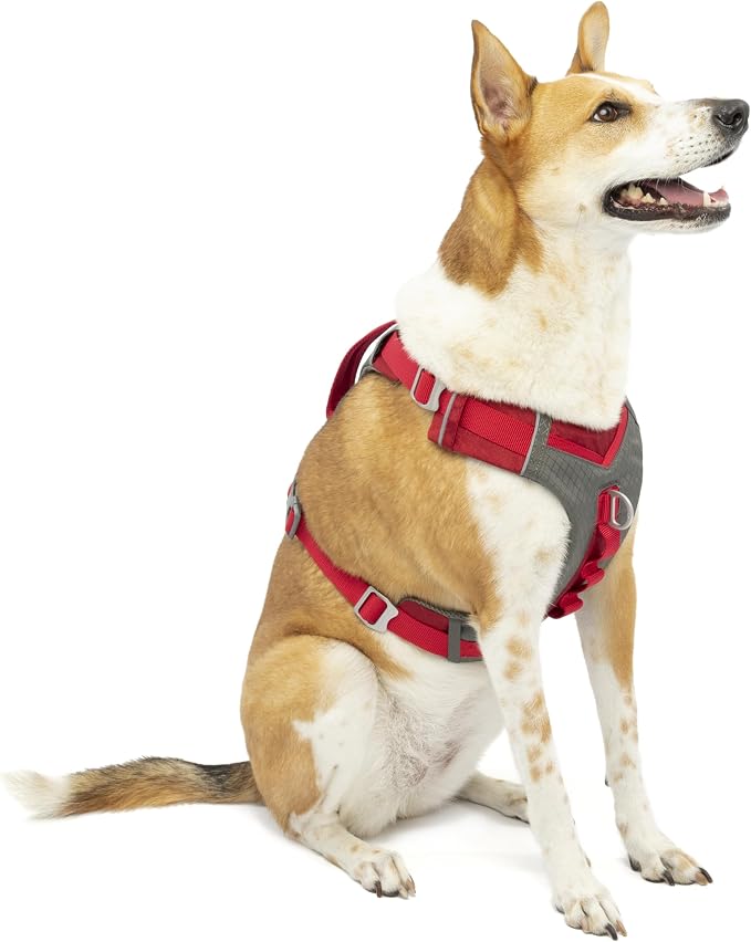 Kurgo Journey Air Dog Harness, Red, Extra Large | Padded Chest, Ripstop Outer & Breathable Mesh, Back Assist Handle, Rust-Free Aluminum Hardware, Reflective Trim