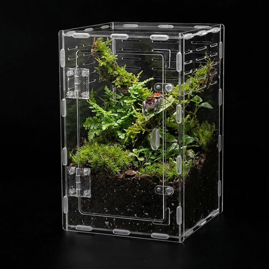 11.8 Inch Jumping Spider Enclosure, Desktop Micro Terrarium, Breeding Box, 360° Clear Acrylic Insect Habitat, 3-Side Ventilation, Easy Assembly, for Mantis, Tarantula, Snail, Small Reptiles, Plants