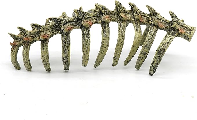 relaqcc Aquarium Skull Animal Skeletons, Reptile Tank Accessories, Fish Tank Decorations for Amphibians, Betta Fish, Shrimp, Hermit Crab, Leopard Gecko