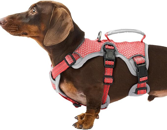 Escape Proof Dog Harness, Dachshund Harness, Reflective Dog Harness with Handle, Durable,Adjustable Vest for Small Medium Large Dogs Walking, Training, and Running Gear (Red,S)
