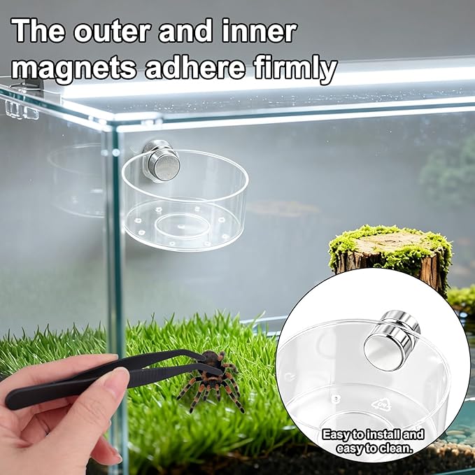 4pcs Jumping Spider Feeding Dish Set, Including Magnetic Water Dishes Dropper & Tweezer Small Pets Accessories for Tarantulas Reptiles Enclosure Supplies