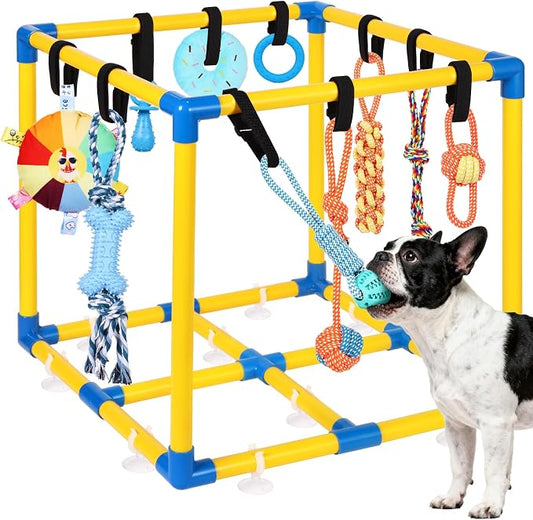 WLLEYAY Puppy Play Gym for Small Dogs 10 Hanging Toys,Interactive Dog Toys | Removable Indoor Jungle Gym,PVC Frame With Adjustable Bungee Straps, Interactive Tug Toys,Dogs Rope Toy To Keep Them Busy