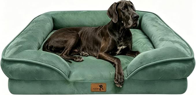 Spotted Play Orthopedic Dog Bed with Sides - Sofa Beds for Extra Large Dogs, Supportive Foam Pet Couch Bed with Washable Removable Cover, Waterproof Lining and Non-Slip Bottom, Green - XXL