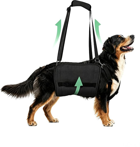Adjustable Dog Lift Harness, Dog Carry Sling Provides Rear Leg Support for Senior Dogs, Arthritis and After ACL Surgery Dogs,Suitable for Medium to Large Dogs,Black XXL