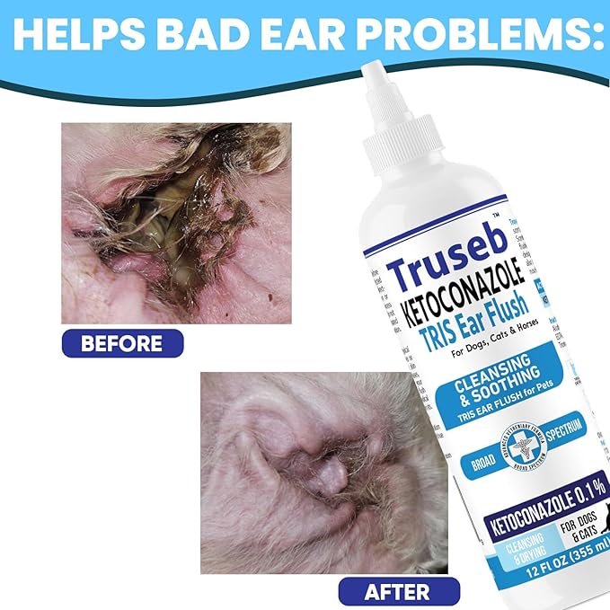 Pet Health Pharma Truseb | Dog Ear Flush Ketoconazole Dog Ear Wash, Cats and Horses, KETOCONAZOL 0.1% Tris Ear Flush for Dogs (12 oz) Made in U.S.A (Ketoconazole Ear Flush, 24 oz)
