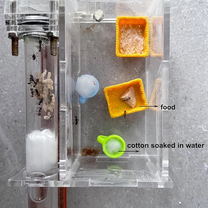 Spider Micro Water Bowl, 3 Pack Mini Liquid Feeder Ant Bowl, Ant Farm Water Feeder, Small Insect Water Bottle, Food Bowl Tarantula Mini Dish for Millipede Tiny Bugs Reptiles
