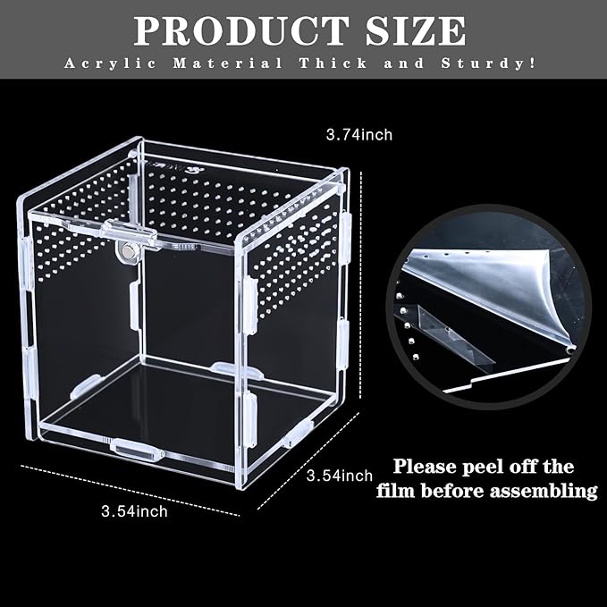 Suzile Jumping Spider & Tarantula Enclosure - Reptile & Hermit Crab Tank - Micro Habitat (3.5 x 3.5 x 3.7'')
