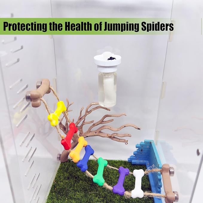 Jumping Spider Water Dispenser, Magnetic Hanging Feeder,Suitable for Jumping Spiders,Tarantulas, Praying Mantises,Arboreal Animals, and Other Small Animal Enclosure Accessories (White, 15ML)
