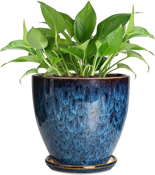 6 Inch Plant Pot - Ceramic Pots for Plants with Drainage Hole and Saucer, Ceramic Planters for Indoor Plants Outdoor, Decorative Round Planter, Room Home Decor, Gifts for Plant Lovers, Blue