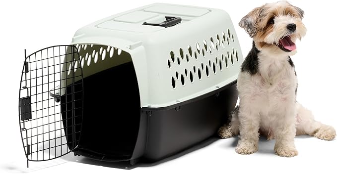Petmate Pet Porter Fashion Dog Kennel Plastic Crate for Pets 15-20 lbs, Pet Carrier For Home and Travel, Made in USA, 24" L x 14.5" H, Pale Aqua and Black | Airline approved travel crate, durable plastic shell, secure carrier for home and trips, made i...