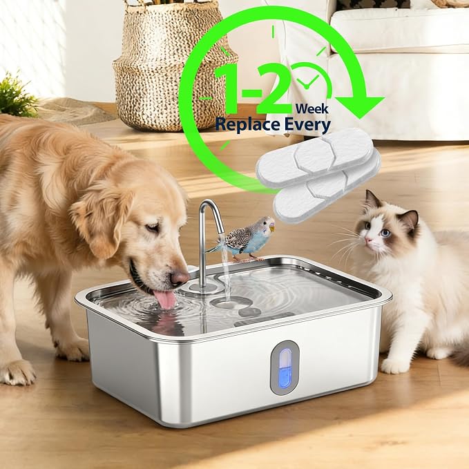 10 Set Dog Water Fountain Filters Replacement,4Gal/15L Pet Fountain Filters,Made of Activated Carbon and PP Cotton, 5-Layer Filtration System, 10 Pre-Filter Sponge,10 Pump Sponge,10 Filter