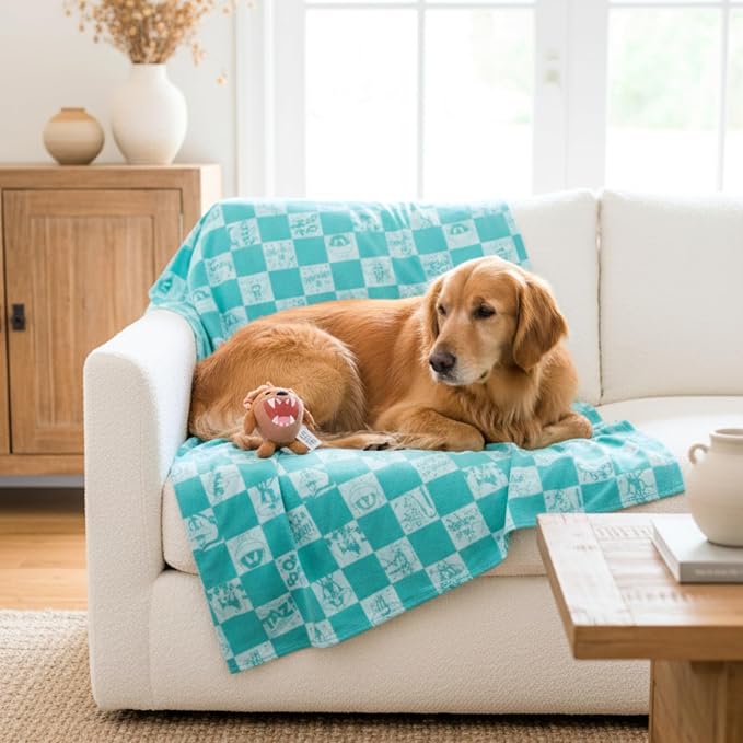 Looney Tunes Tasmanian Devil Pet Throw & Squeaky Pillow Set, Stimulating Toy As Gifts for Puppies, Cats, Dogs, (Officially Licensed) By Franco