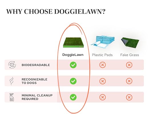 DoggieLawn Real Grass Dog Pee Pads w/ Tray - Medium Dog Potty Pad 24x20 | No-cleaning, odor-reducing puppy potty training pad for housebreaking, indoor or outdoor use, real grass, replace when needed