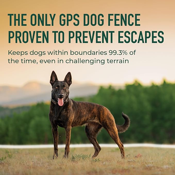 SpotOn GPS Dog Collar Nova Edition, Wireless GPS Fence, App-Controlled Boundaries, No Subscription Required