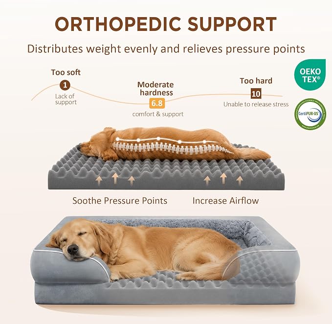 Comfort Expression Waterproof Orthopedic Dog Beds for Extra Large Dog | Supportive Egg Crate Foam X-Large Pet Bed with Removable Bolster, Dog Couch with Washable Cover & Non-Slip Bottom, 48x30 Inch