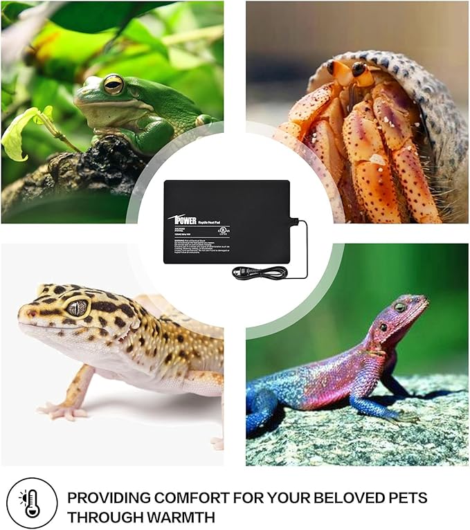 iPower 8X12 Inch Reptile Heat Pad Under Tank Heater Terrarium Warmer Heating Mat and Digital Thermostat Controller for Turtles Lizards Frogs and Other Small Animals