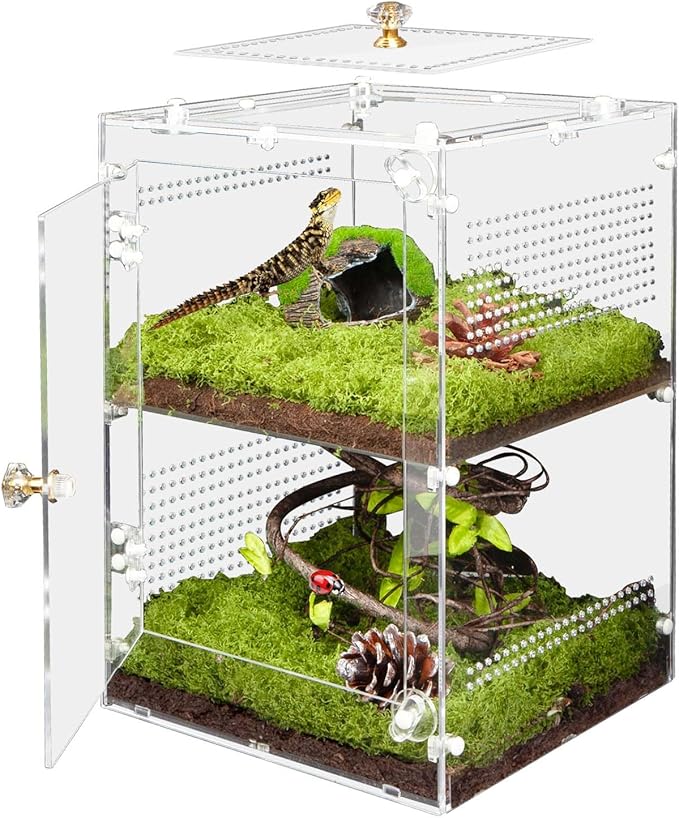 Acrylic Jumping Spider Enclosure with Removable Divider – 12"*8"*8" Large Reptile Terrarium for Praying Mantis, Arboreal Tarantula, Snails, Lizard, Gecko, Secure Habitat with Front Door & Top Lid