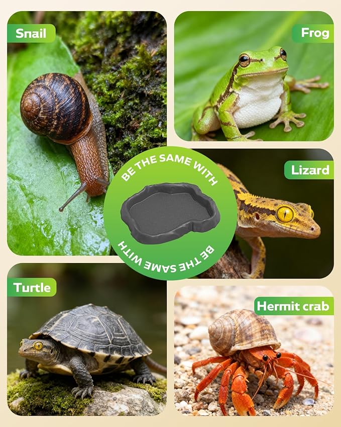 4Pcs Snail Food and Water Bowl, Reptile Water Dish and Food Bowl, Natural Design Terrarium Feeding Dish for Garden Snails, Hermit Crab, Lizard, Frog, Gecko (Black, Green)