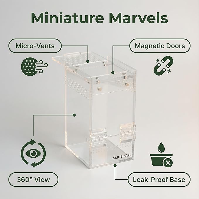 Jumping Spider Enclosure - 3x3x6 Acrylic Tarantula Enclosure Reptile Habitat with Front & Top Magnetic Doors, 0.04" Ventilation Holes Pre-Assembled Terrarium for Spiders, Mantis, Snails, Lizards