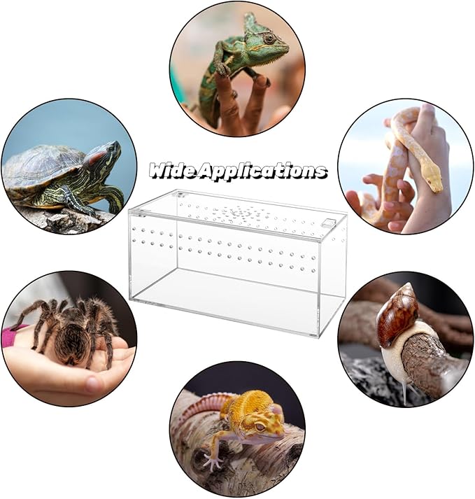 Tlence Acrylic Tarantula Enclosure Terrarium, 8" x 4" x 4" Small Magnetic Reptile Tank, Micro Spider Breeding Habitat Cage, Clear Ventilated Lizard Display Box for Hermit Crab Invertebrates Scorpion