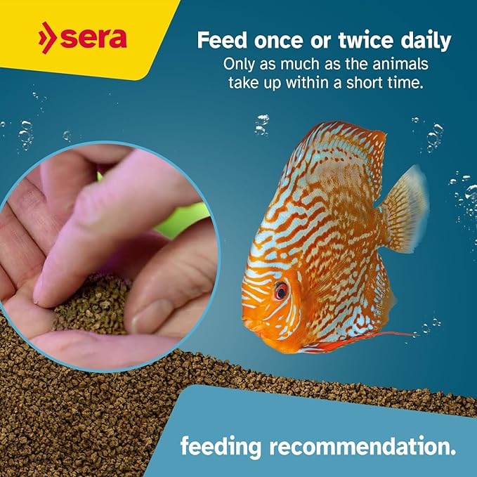 Sera Discus Granules 1000ml (14,8 fl oz) | Main Feed for All Discus & Ornamental Fish | Rich in Aquatic Proteins & Minerals | No Dyes or Preservatives | Boosts Growth