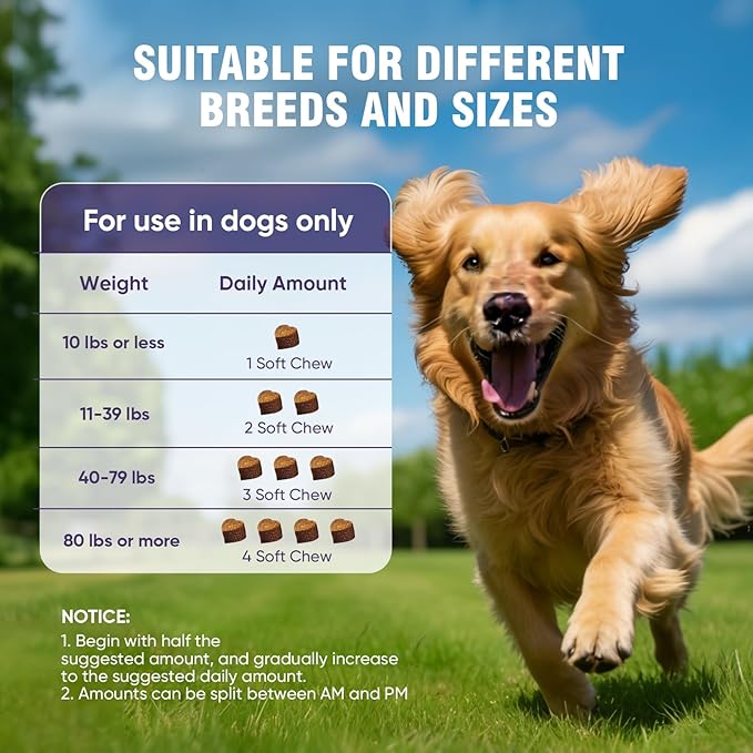 Glucosamine for Dogs 200pcs Joint Support Supplement Dog Hip and Joint Chondroitin Chews Treats with MSM Dog Joint Pain Relief Mobility Supplements Duck Flavor Fit All Large Small Medium Breed
