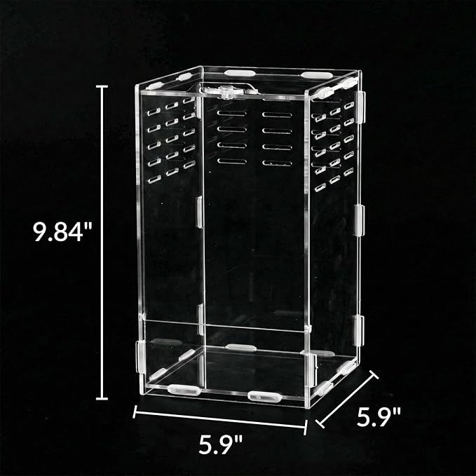 9.8 Inch Jumping Spider Enclosure, Desktop Micro Terrarium, Breeding Box, 360° Clear Acrylic Insect Habitat, 3-Side Ventilation, Easy Assembly, for Mantis, Tarantula, Snail, Small Reptiles, Plants