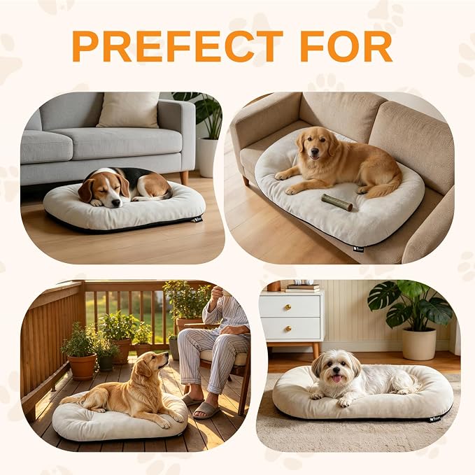 Washable Oval Dog Bedfor Medium Dogs,Silver-Tipped High-Resilience,Beige | Non-Slip Bottom Prevents Sliding, Soft Plush Short Fur, Machine Washable, Ideal for Crates/Apartments/Cozy Nooks,29"x18"x2.8"