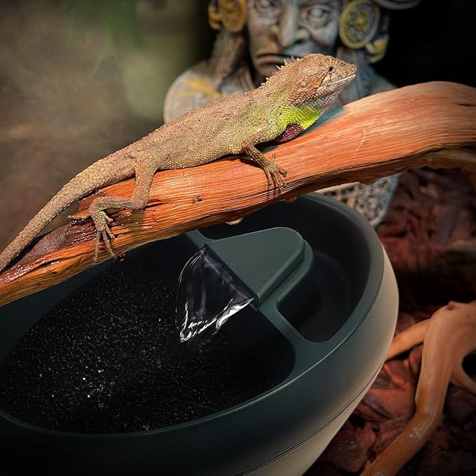 MYGIIKAKA Reptile Drinking Water Fountain Chameleon Accessories Automatic Circulation System with Trough, Bearded Dragon Cage Accessories Reptiles Habitat Waterfall for Snake/Lizard/Chameleon/Turtle