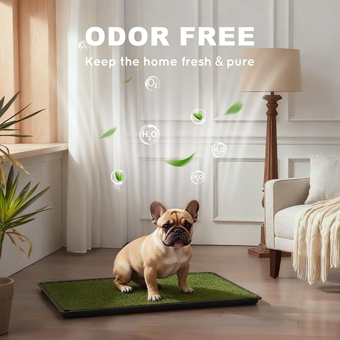HQ4US Dog Grass Pad with Tray, Odor Free Grass Pee Pad for Dog Litter Box | Large Dog Potty Tray with Grate, Artificial Grass Fast Drainage, Hemmed Edge, Realistic, Fake Grass for Indoor Balcony