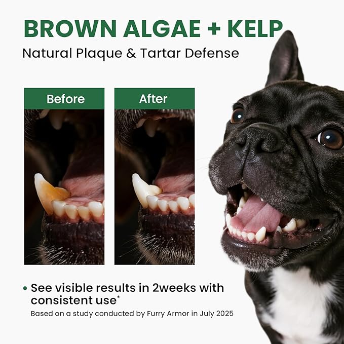Dog & Cat Dental Powder: Ultimate Breath Freshener & Oral Care - Eliminates Bad Breath, Controls Plaque & Tartar - Enzyme & Probiotic Food Topper - Green Tea Flavor 5.64oz