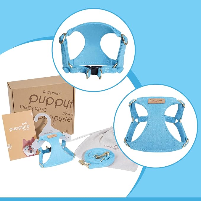 Puppytie Small Dog Harness with Multifunction Dog Leash,Lightweight Soft Adjustable No Choke Escape Proof Pet Harness Vest Pet Harness Vest,Ocean Blue,S