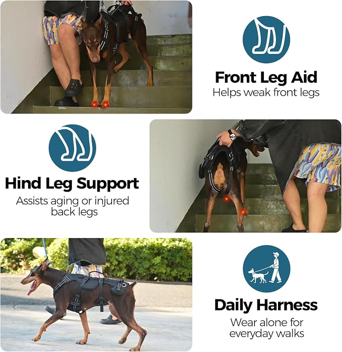 BINGPET Dog Lift Harness for Large Dogs, Full Body Adjustable Handle Sling | Reflective Lifting Harness Rehabilitation Sling Carrier with Soft Padded Handle, Mobility Assistance Vest for Senior Pets