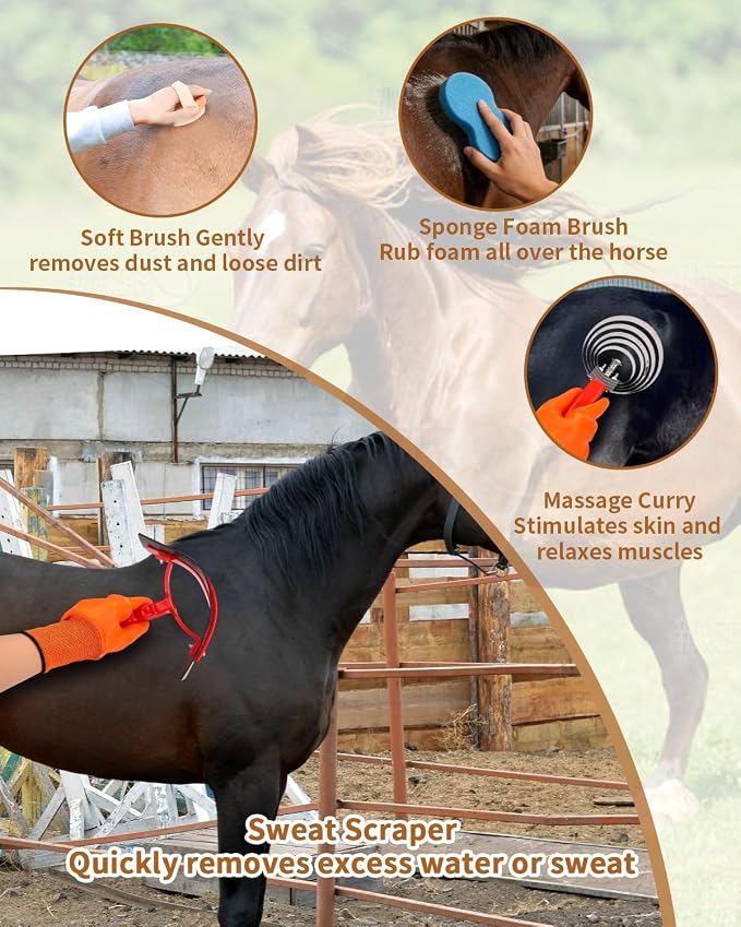 Horse Grooming Kit 13 Piece, Complete Horse Brushes & Grooming Supplies Set with Organizer Bag, Curry Comb, Hoof Brush, Bath Brushes & Accessories for Horse Care