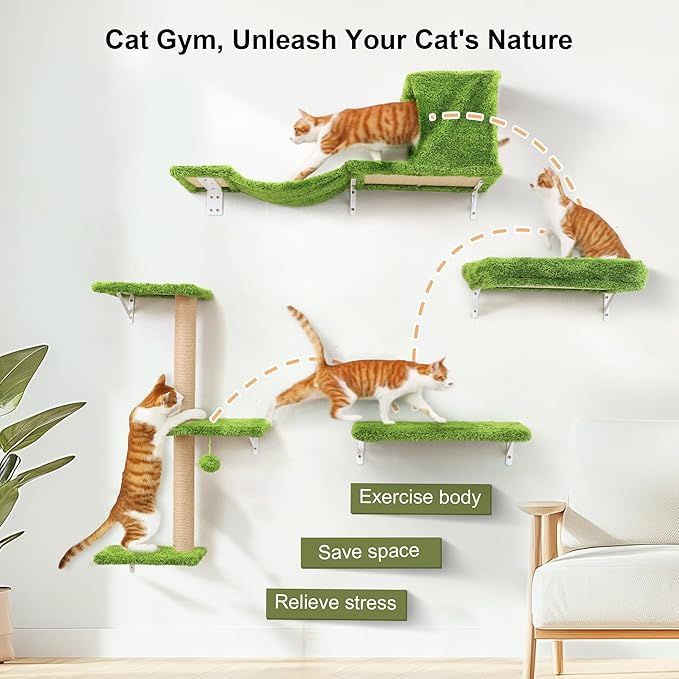 FUKUMARU Cat Wall Shelves, 4 in 1 Set, Green | Stable & Safe Cat Walls Furniture, Wooden Kitten Climbing Wall with Scratching Post for 16 Inch Drywall
