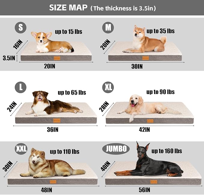 Patas Lague Orthopedic Large Dog Bed Washable Pet Sofa Mat 48''X30'' Ivory | Egg-Crate Foam Dog Couch For Large Sized Dogs, Waterproof Removable Cover, Soft Pet Crate Bed With Nonskid Bottom