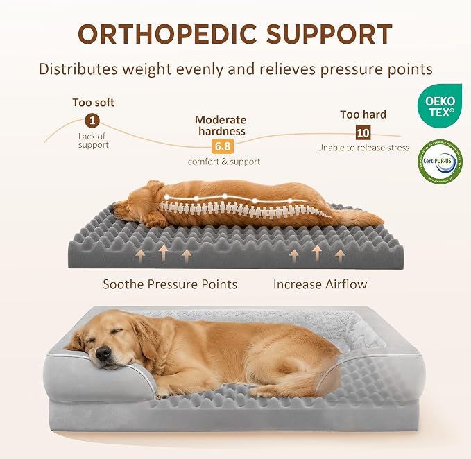 Comfort Expression Waterproof Orthopedic Dog Beds for Large Sized Dog | Supportive Egg Crate Foam Large Pet Bed with Removable Bolster, Dog Couch with Washable Cover & Non-Slip Bottom, 36x27 Inch
