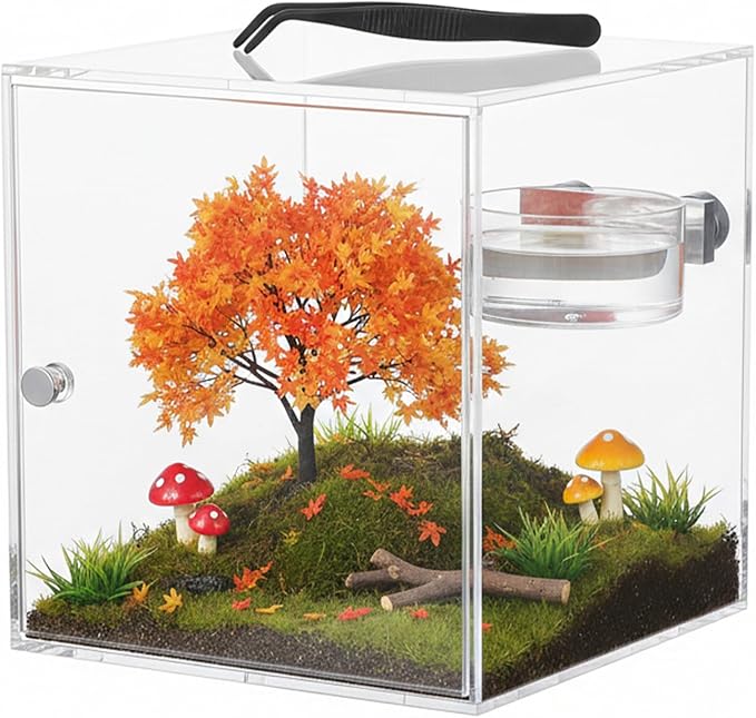 1 Set Spider Feeding Dish Magnetic Tiny Water Bowl Jumping Spider Transparent Food Dishes with Tongs Terrarium Decor Feeding Holder for Small Pets Essential Accessories